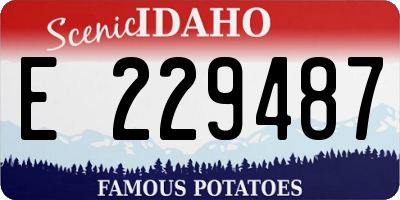 ID license plate E229487