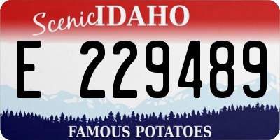 ID license plate E229489