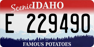 ID license plate E229490