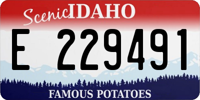 ID license plate E229491