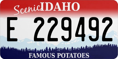 ID license plate E229492