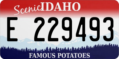 ID license plate E229493