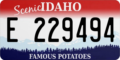 ID license plate E229494