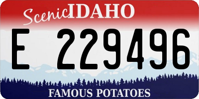 ID license plate E229496