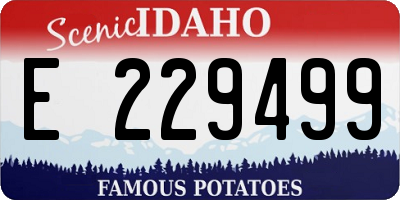 ID license plate E229499