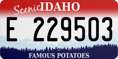 ID license plate E229503