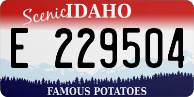 ID license plate E229504
