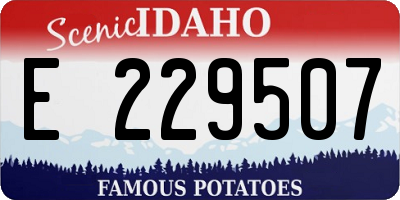 ID license plate E229507