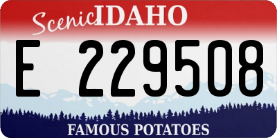 ID license plate E229508