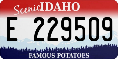 ID license plate E229509