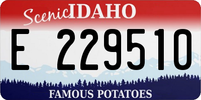 ID license plate E229510