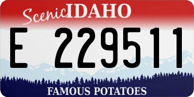ID license plate E229511