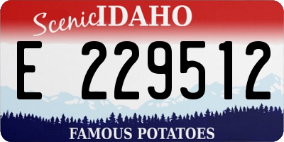 ID license plate E229512
