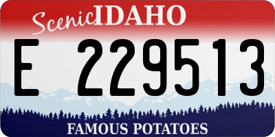 ID license plate E229513