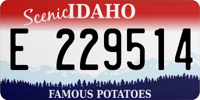 ID license plate E229514