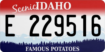 ID license plate E229516