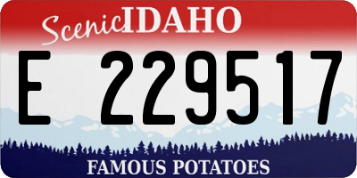 ID license plate E229517