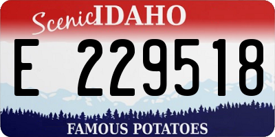 ID license plate E229518