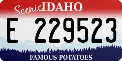 ID license plate E229523