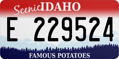 ID license plate E229524