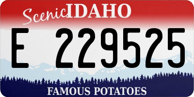 ID license plate E229525