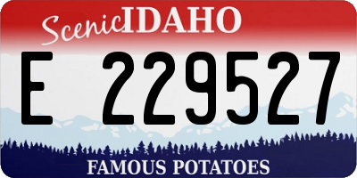 ID license plate E229527