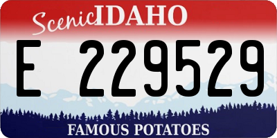 ID license plate E229529