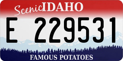 ID license plate E229531
