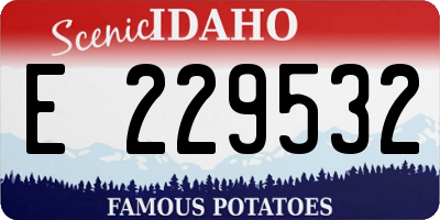 ID license plate E229532