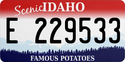 ID license plate E229533