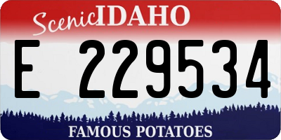 ID license plate E229534