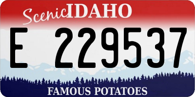 ID license plate E229537