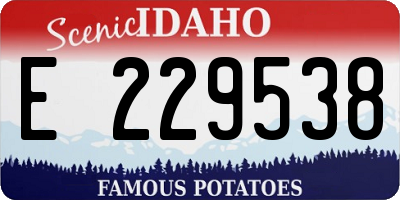 ID license plate E229538