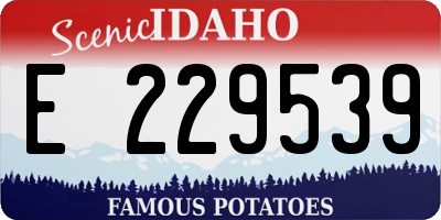 ID license plate E229539
