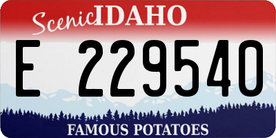 ID license plate E229540