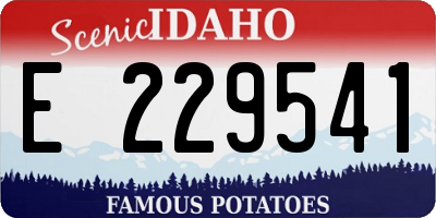 ID license plate E229541