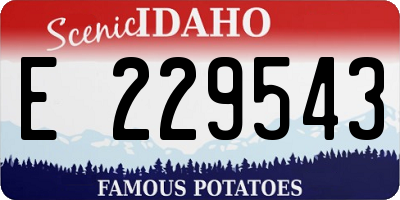 ID license plate E229543
