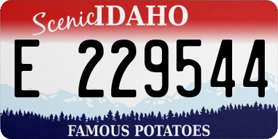 ID license plate E229544