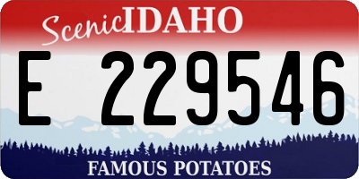 ID license plate E229546