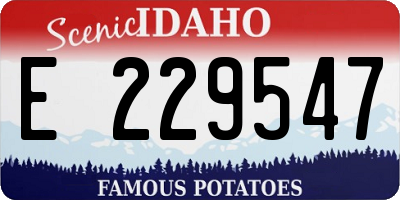 ID license plate E229547