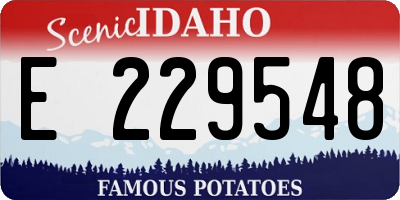 ID license plate E229548