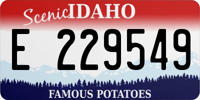 ID license plate E229549