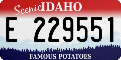 ID license plate E229551