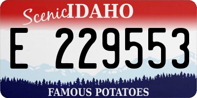 ID license plate E229553