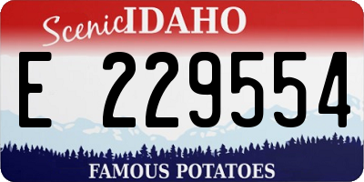 ID license plate E229554