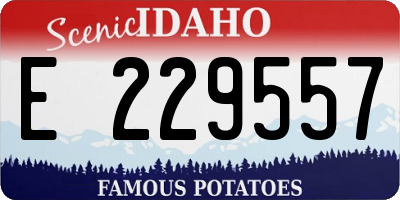 ID license plate E229557