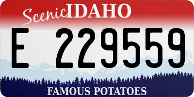 ID license plate E229559