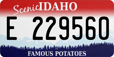 ID license plate E229560