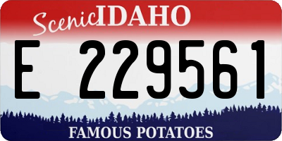 ID license plate E229561