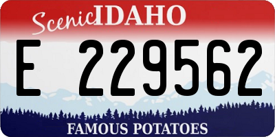 ID license plate E229562